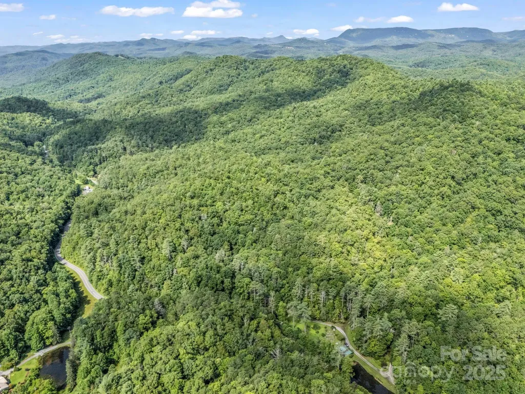 Tbd Frozen Creek Road Brevard NC 28712
