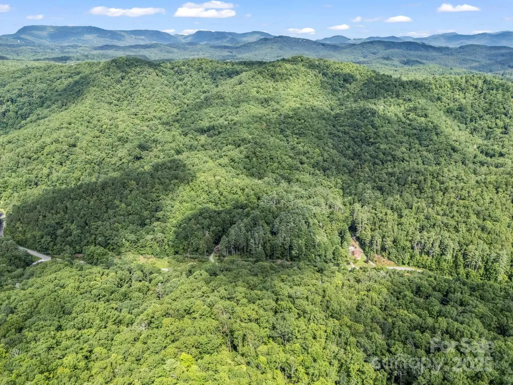 Tbd Frozen Creek Road Brevard NC 28712