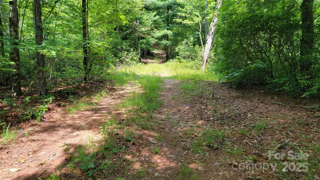 Tbd Frozen Creek Road Brevard NC 28712
