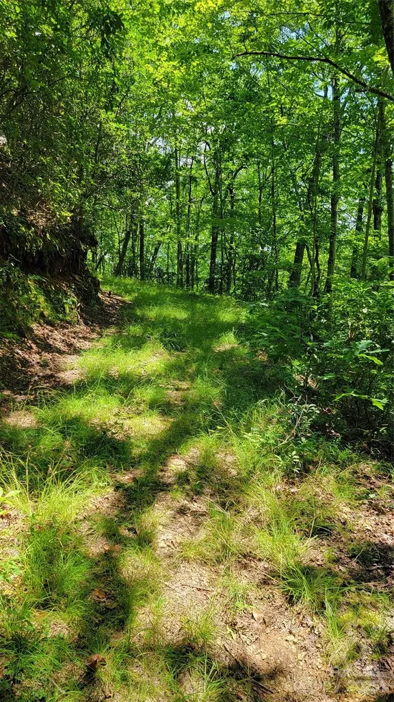 Tbd Frozen Creek Road Brevard NC 28712