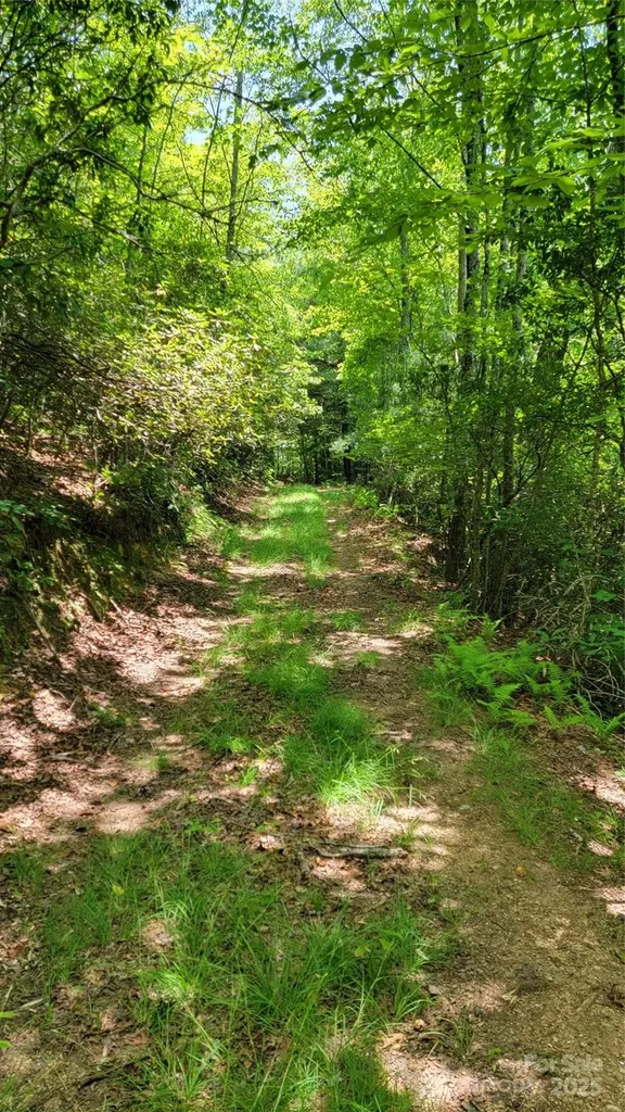 Tbd Frozen Creek Road Brevard NC 28712