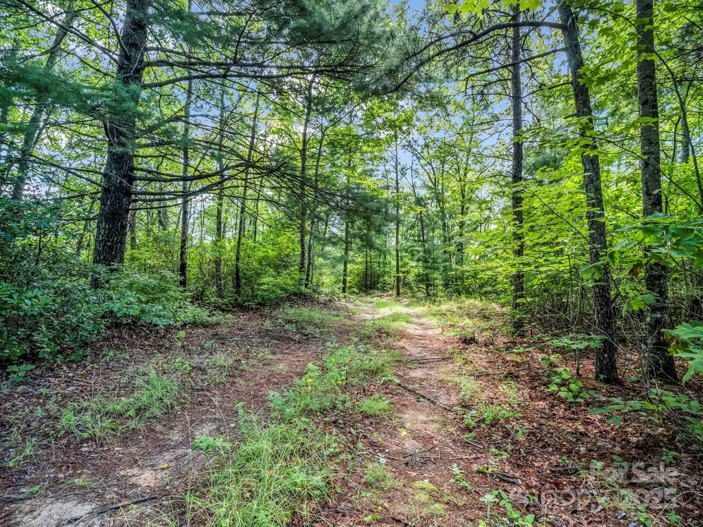 Tbd Frozen Creek Road Brevard NC 28712