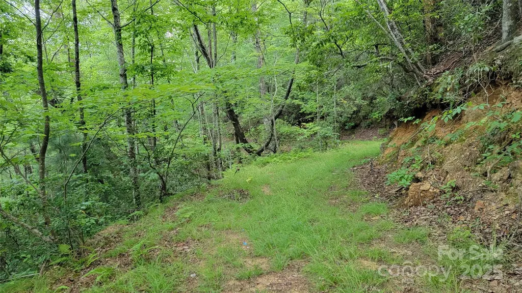 Tbd Frozen Creek Road Brevard NC 28712