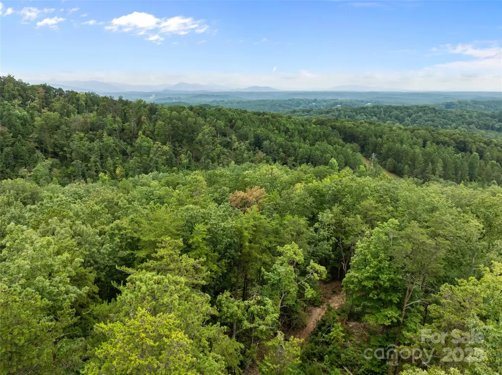 823 Silver Creek Road Mill Spring NC 28756
