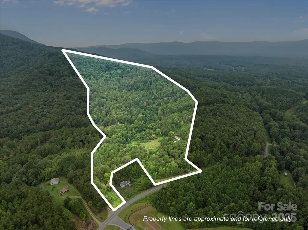 823 Silver Creek Road Mill Spring NC 28756