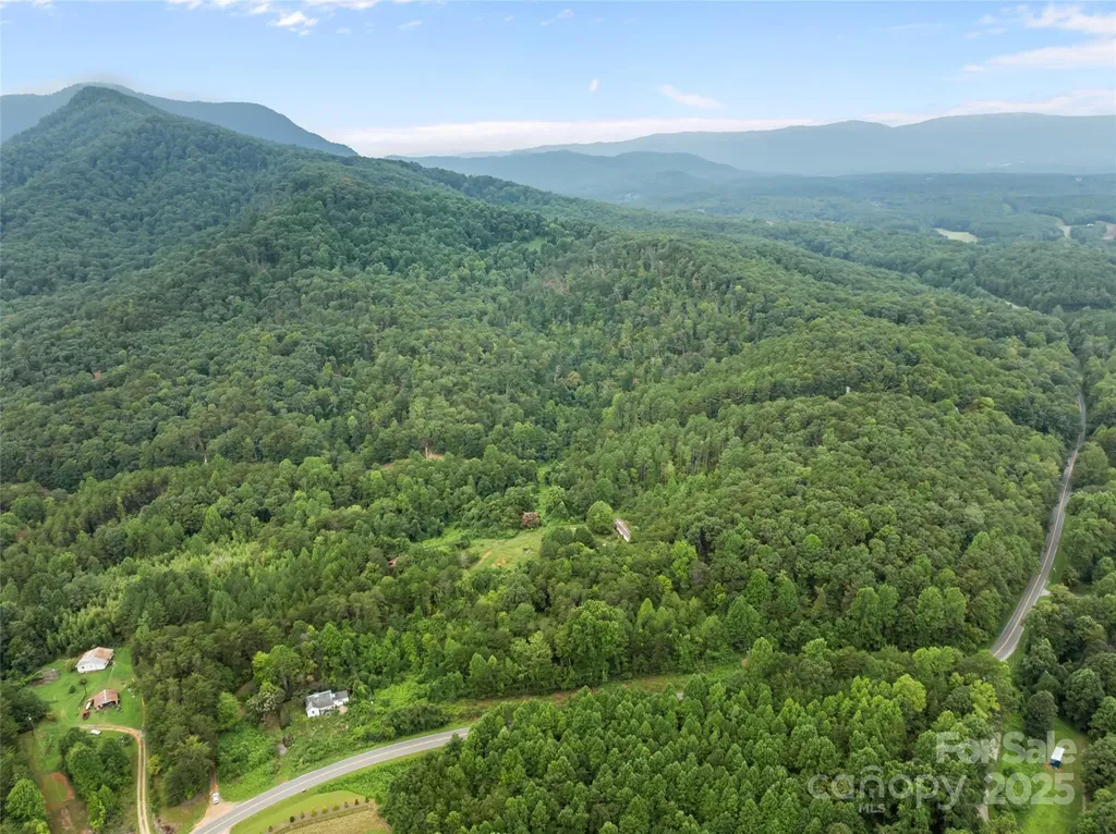 823 Silver Creek Road Mill Spring NC 28756