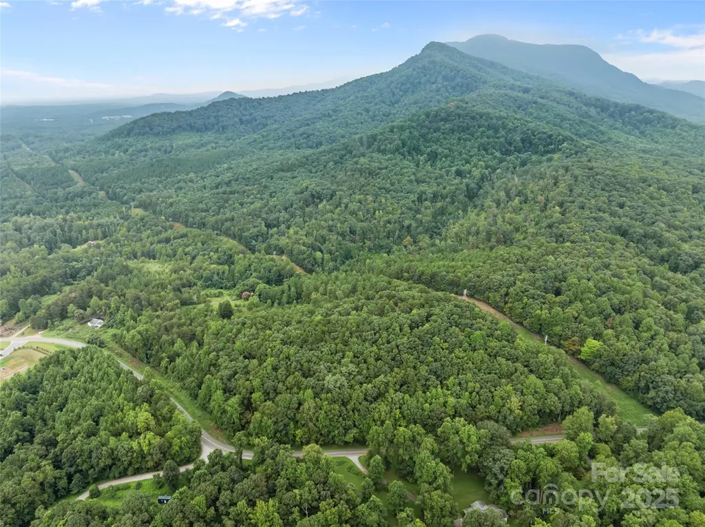 823 Silver Creek Road Mill Spring NC 28756