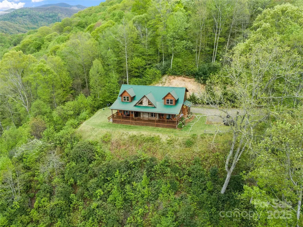 370 Appaloosa Trail Burnsville NC 28714