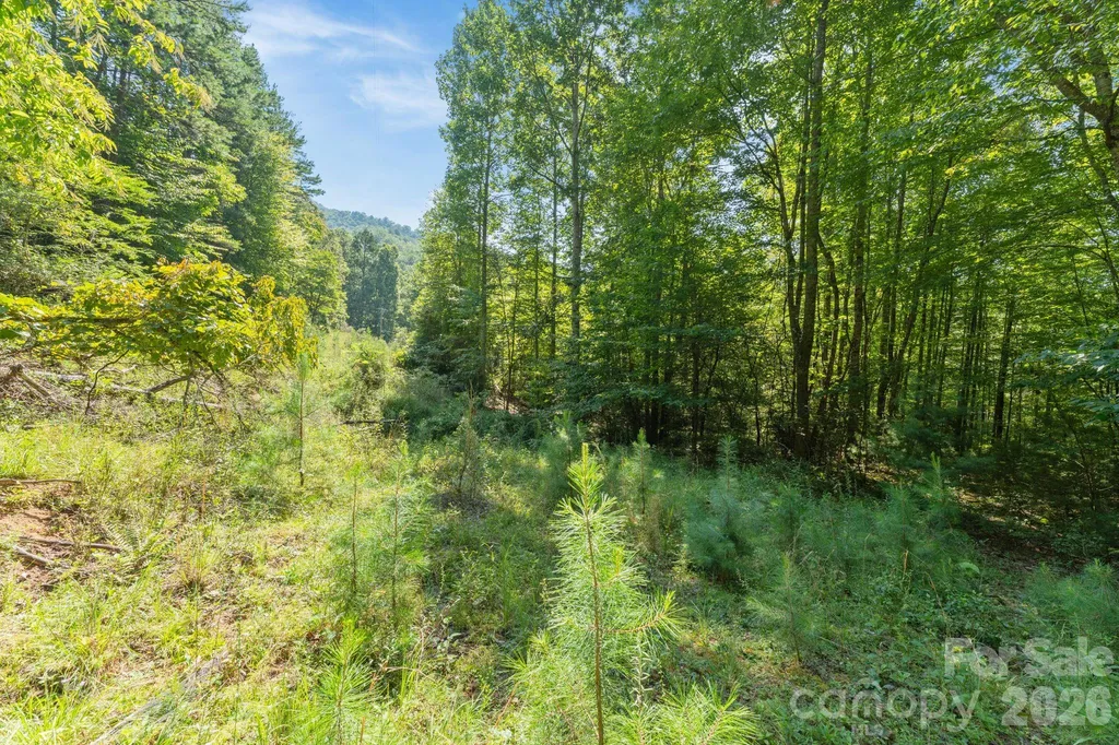 80 Breezewood Drive Bryson City NC 28713