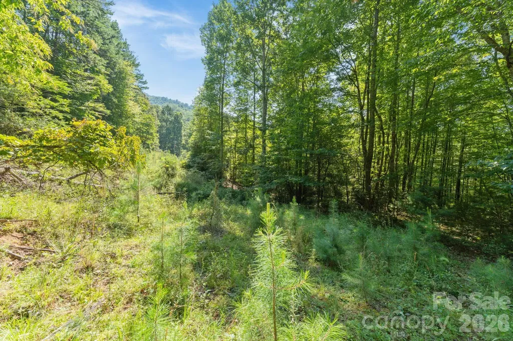 80 Breezewood Drive Bryson City NC 28713