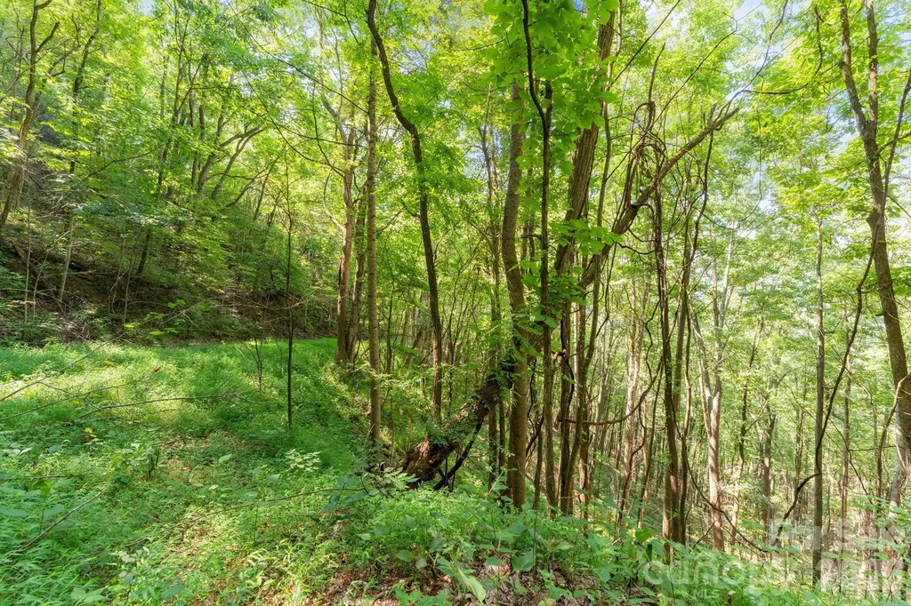 80 Breezewood Drive Bryson City NC 28713