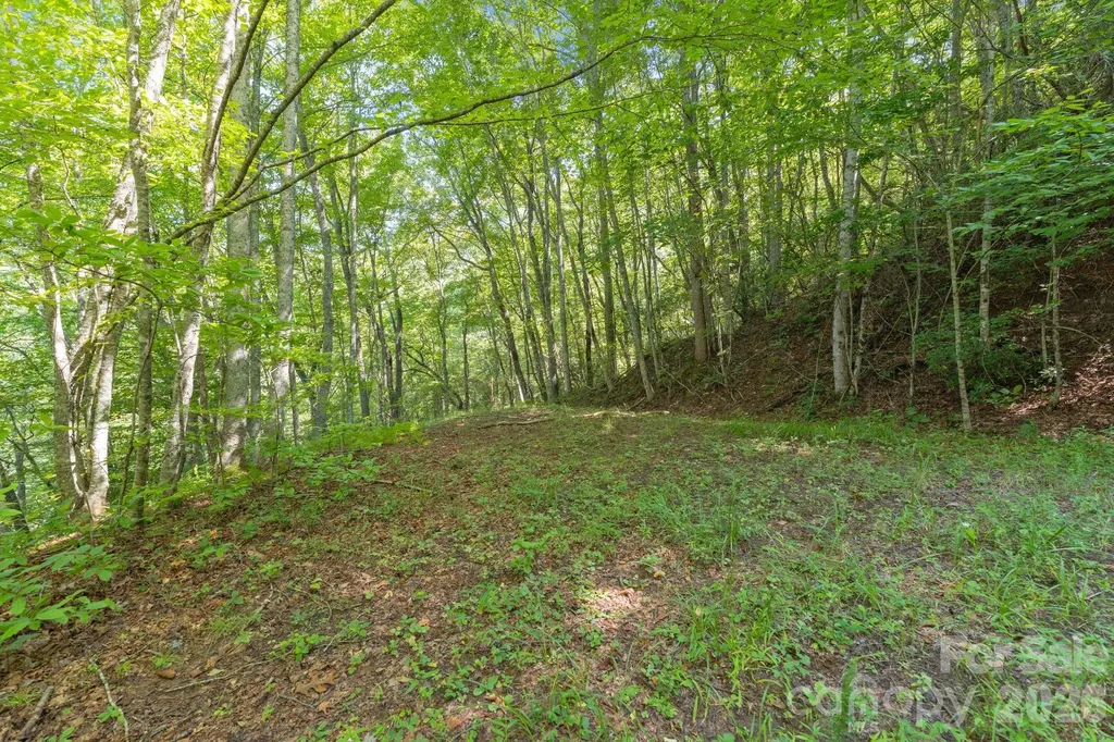 80 Breezewood Drive Bryson City NC 28713
