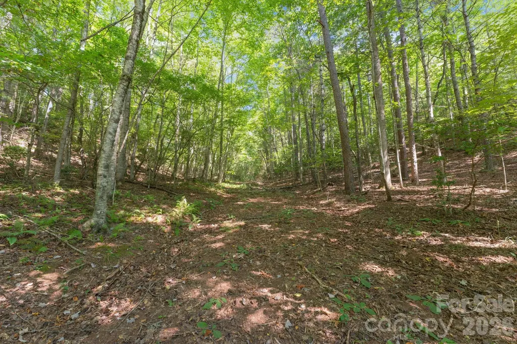 80 Breezewood Drive Bryson City NC 28713