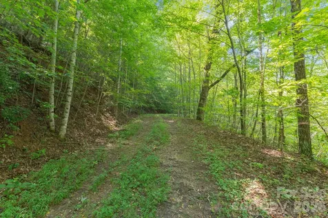 80 Breezewood Drive Bryson City NC 28713