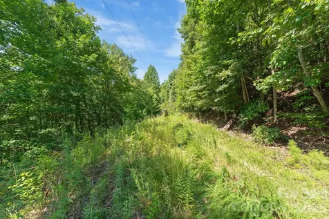 80 Breezewood Drive Bryson City NC 28713