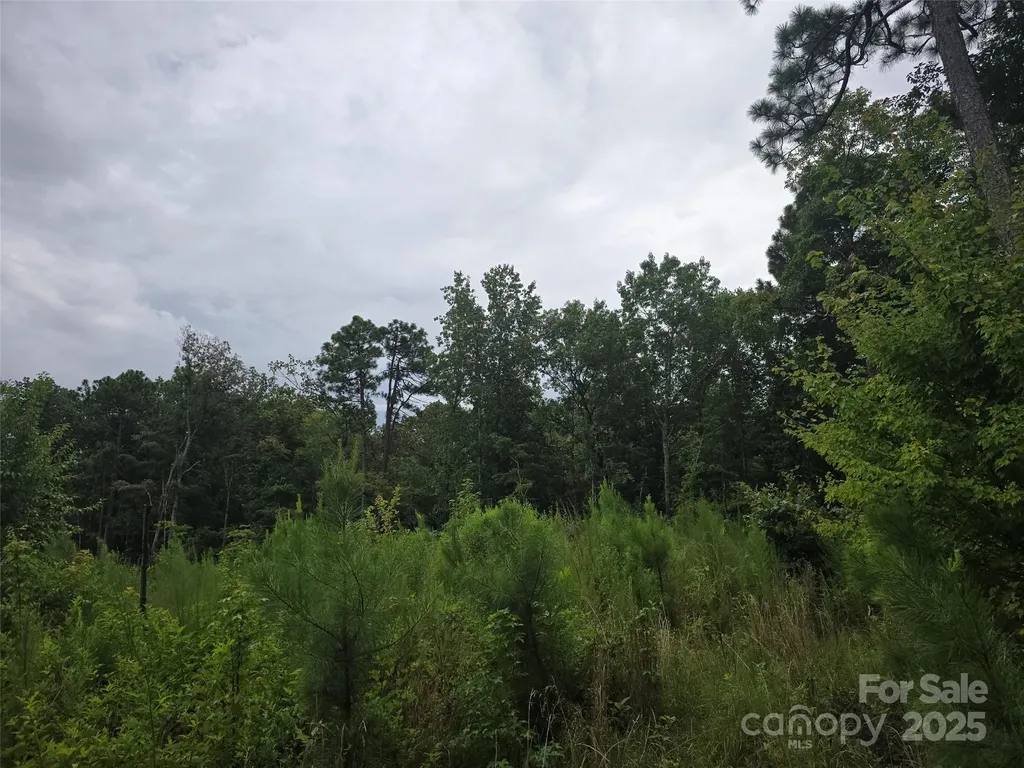 0 N Nc 109 Highway Troy NC 27371