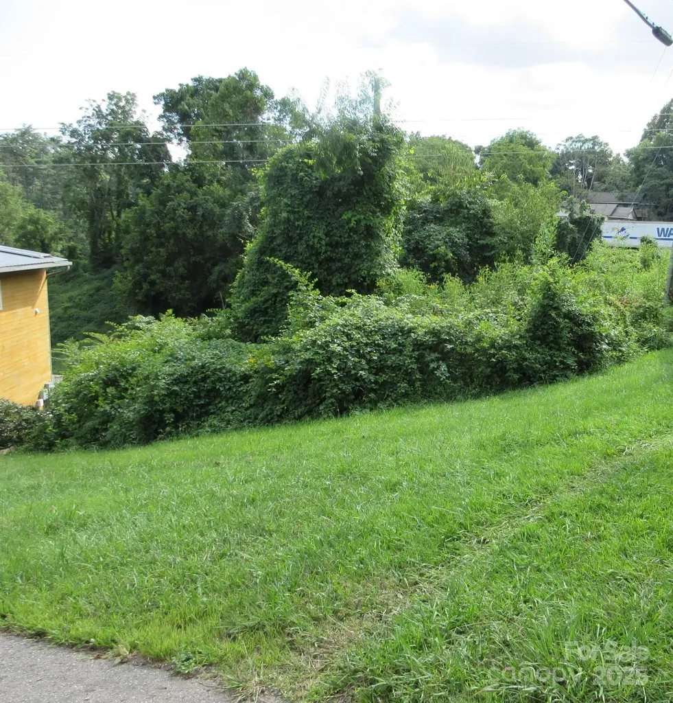 3 N Belgium Lane Asheville NC 28806
