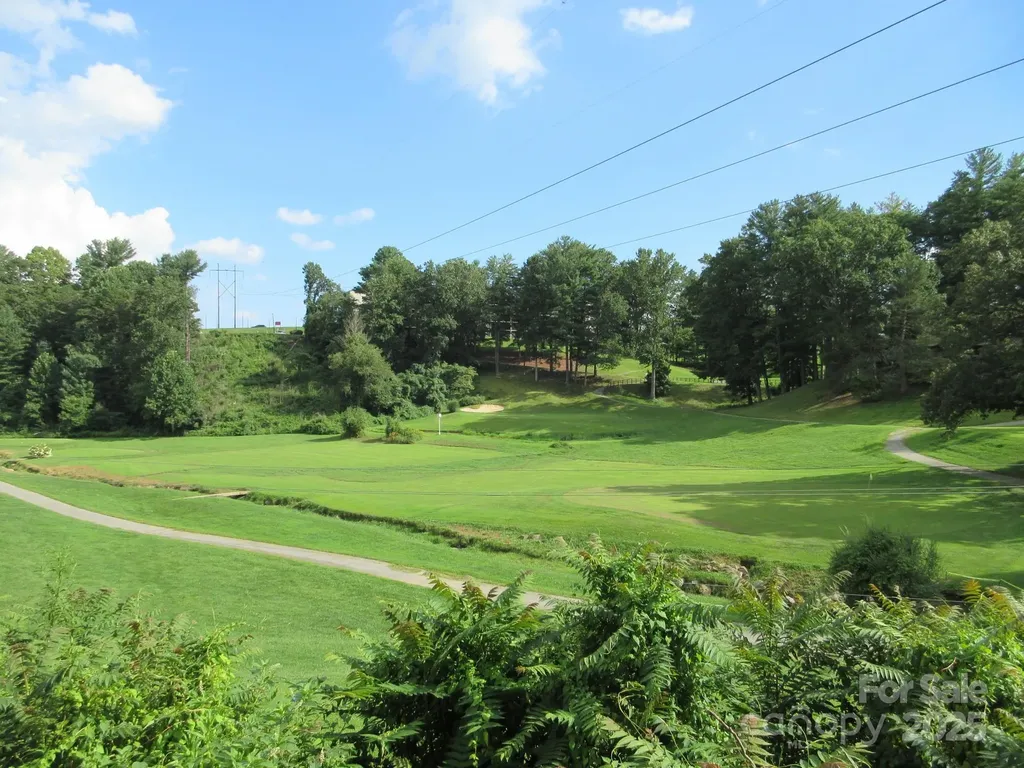 3 N Belgium Lane Asheville NC 28806