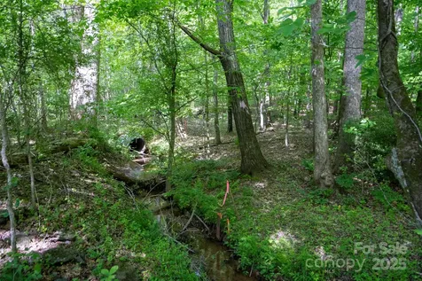 0 W Mills Street Columbus NC 28722