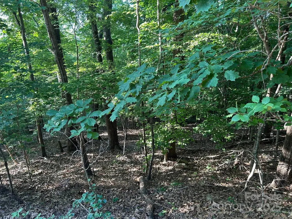 221 Mays Mills Drive Cramerton NC 28012