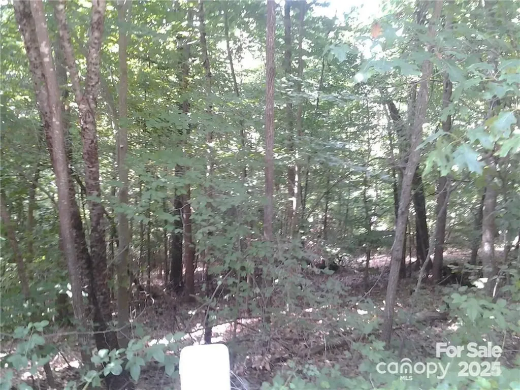 221 Mays Mills Drive Cramerton NC 28012