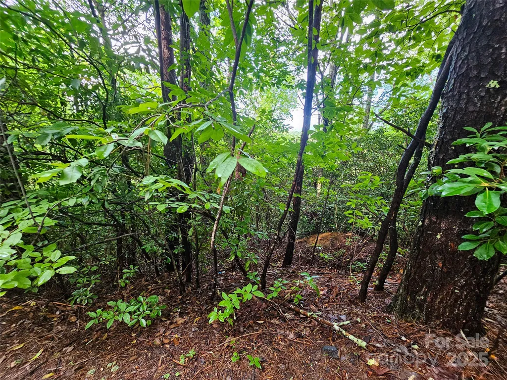 Tbd Rumbling Bald Road Lake Lure NC 28746
