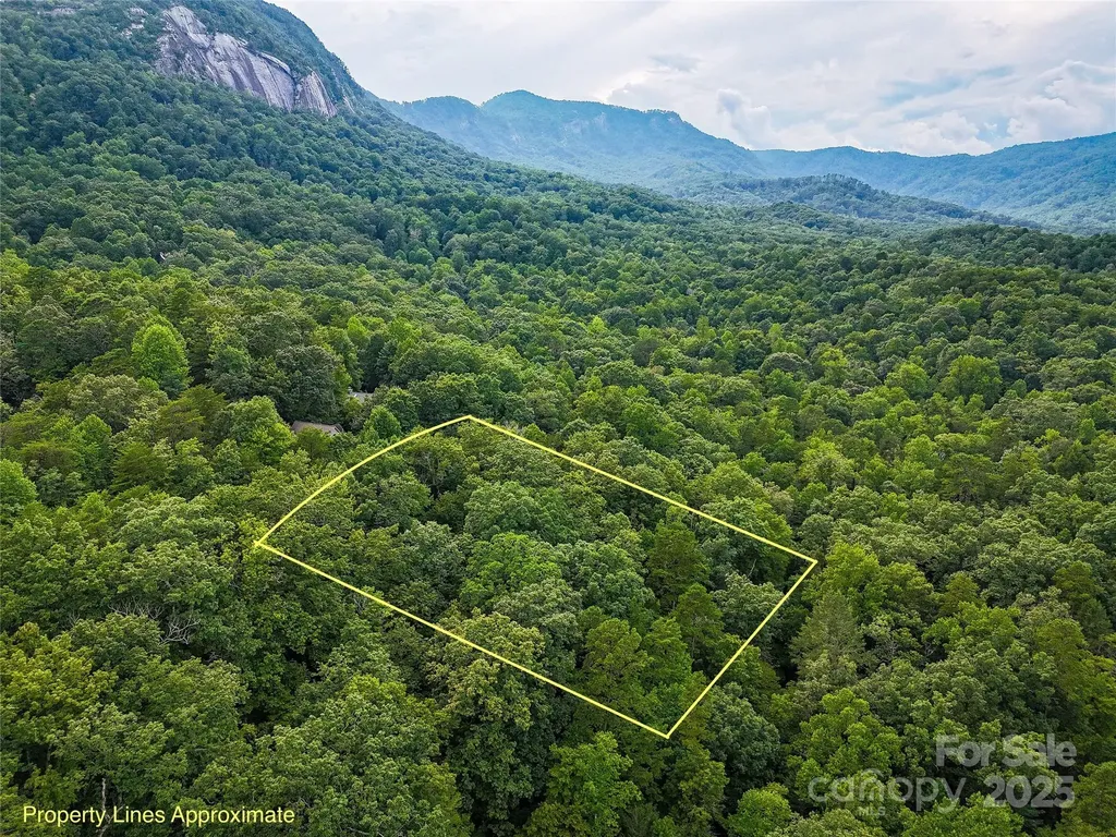 Tbd Rumbling Bald Road Lake Lure NC 28746
