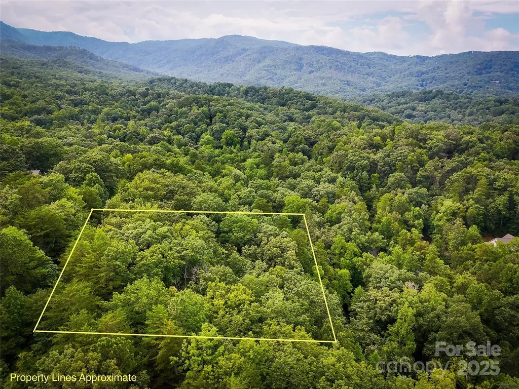 Tbd Rumbling Bald Road Lake Lure NC 28746