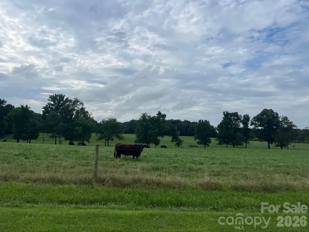 00 Thanny Helms Road Peachland NC 28133