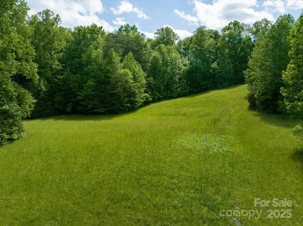899 W Mills Street Columbus NC 28722