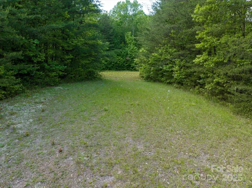 899 W Mills Street Columbus NC 28722