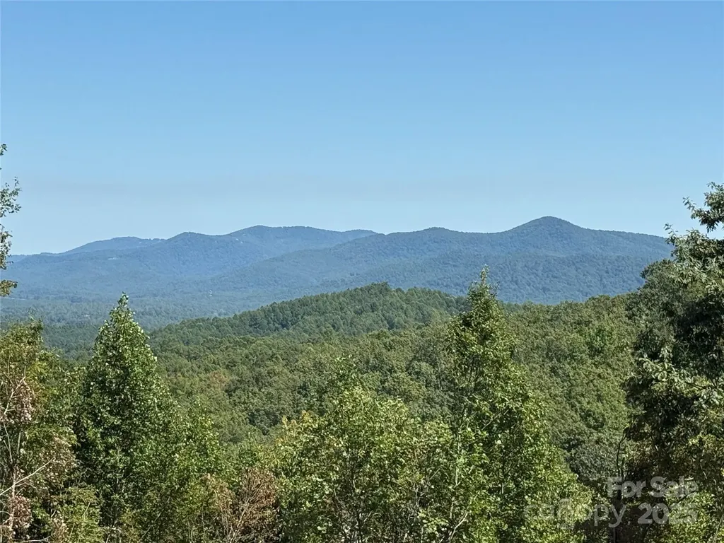 1187 Grandview Peaks Drive Nebo NC 28761