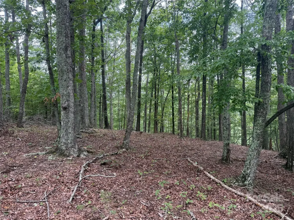 1187 Grandview Peaks Drive Nebo NC 28761