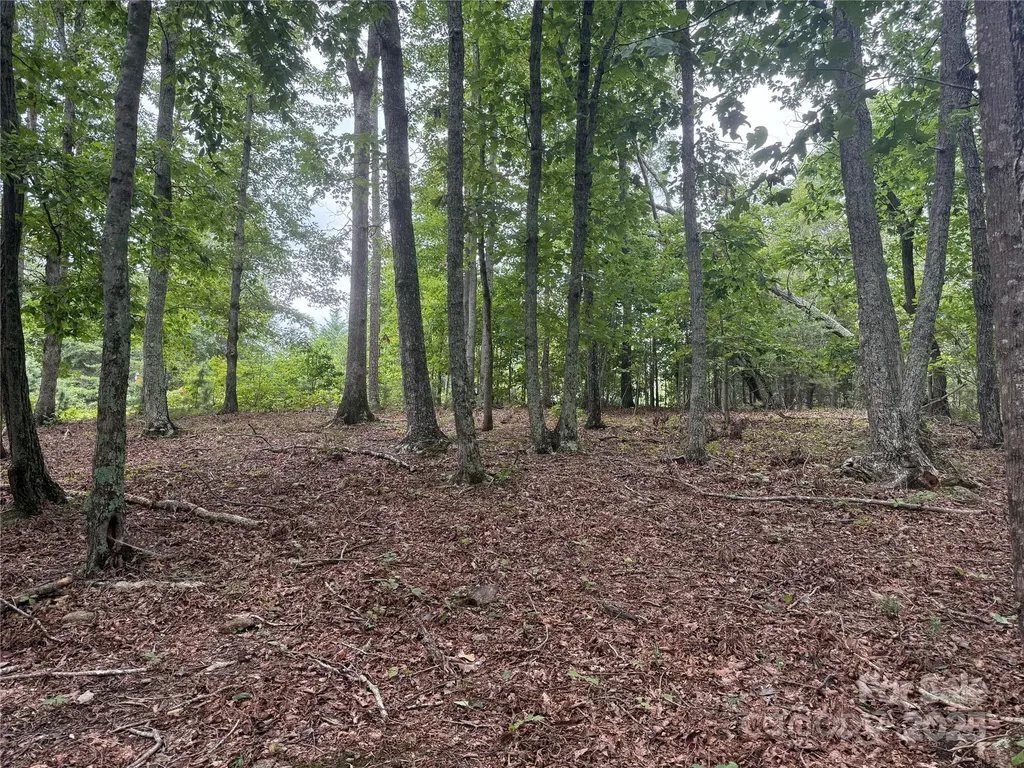 1187 Grandview Peaks Drive Nebo NC 28761