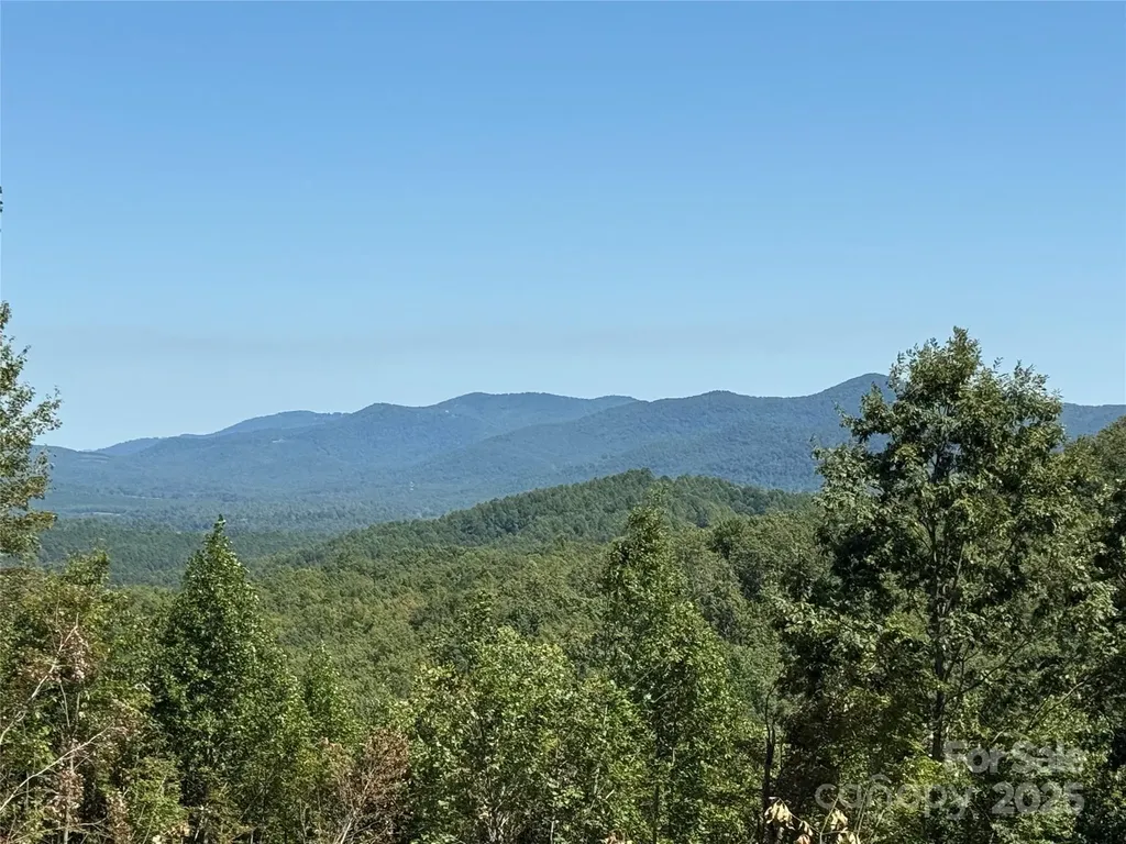 1187 Grandview Peaks Drive Nebo NC 28761
