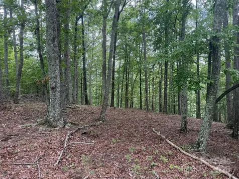 1187 Grandview Peaks Drive Nebo NC 28761