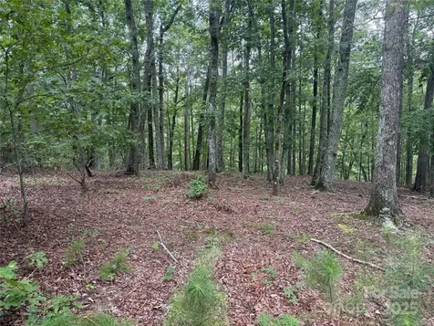 1187 Grandview Peaks Drive Nebo NC 28761