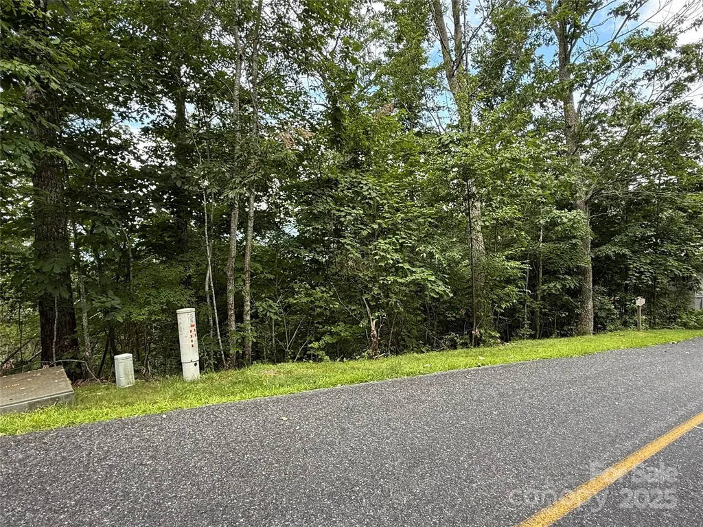 Lot 20 Heritage Ridge Road Burnsville NC 28714