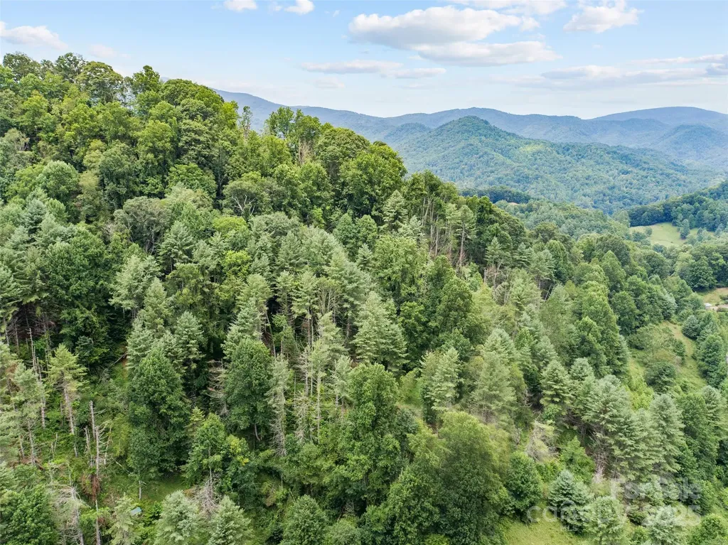 0000 Bee Log Road Burnsville NC 28714