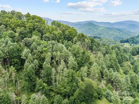 0000 Bee Log Road Burnsville NC 28714