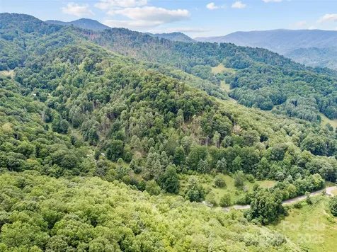 0000 Bee Log Road Burnsville NC 28714