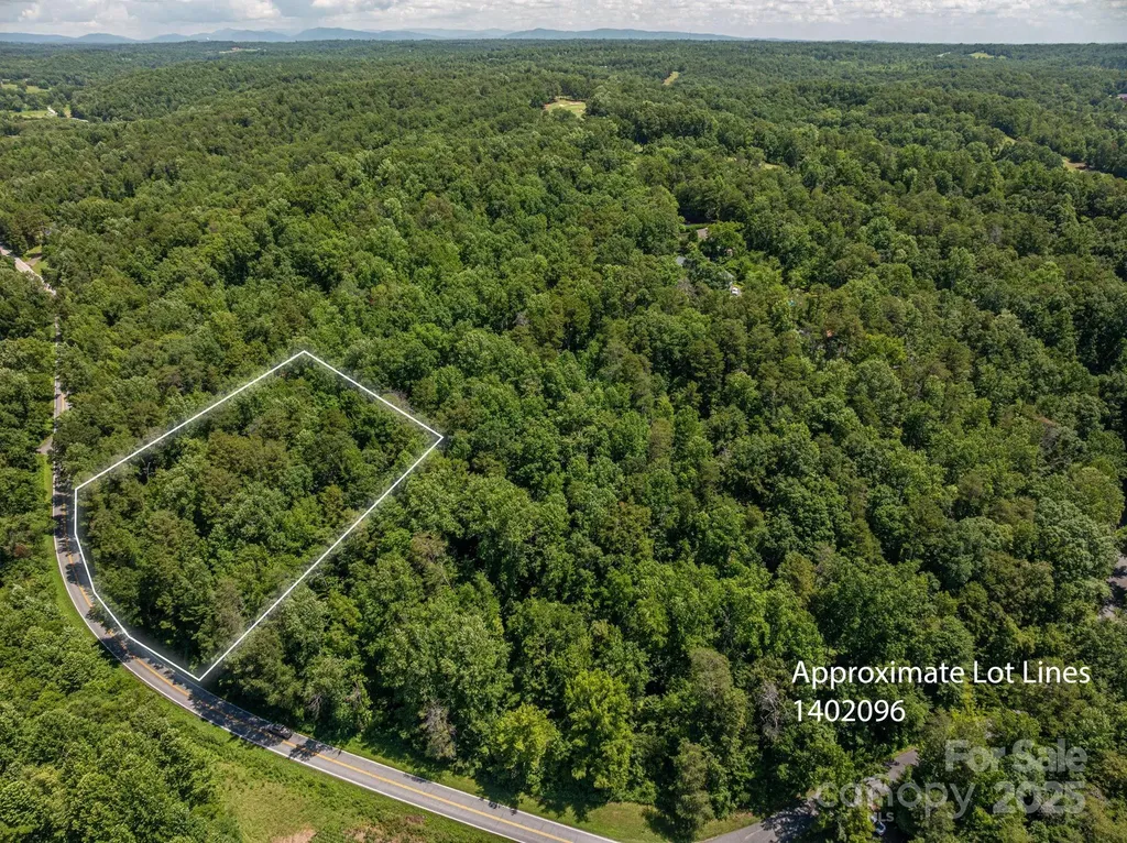 Lot 162 Coxe Road Rutherfordton NC 28139