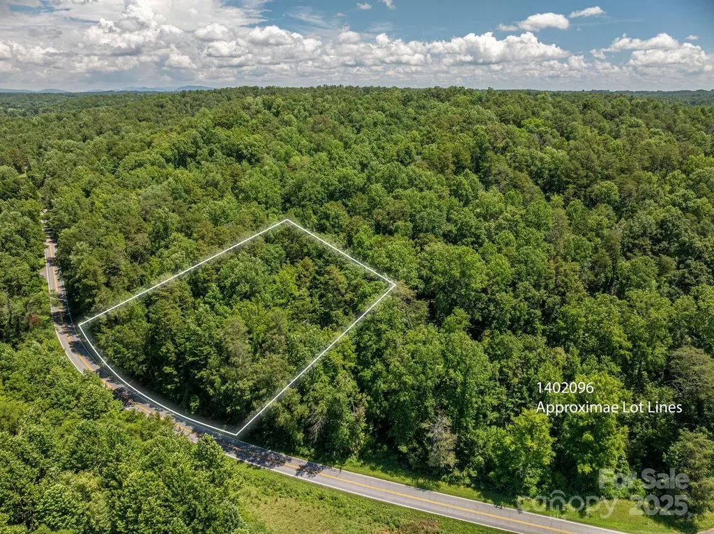 Lot 162 Coxe Road Rutherfordton NC 28139