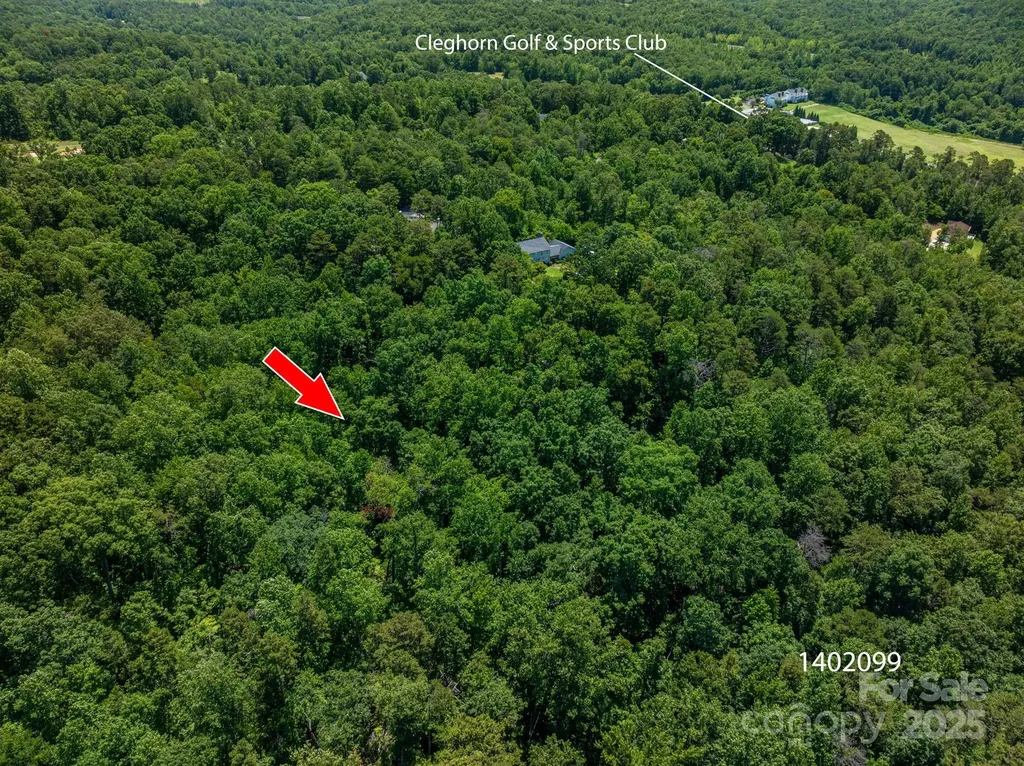 Lot 169 Coxe Road Rutherfordton NC 28139