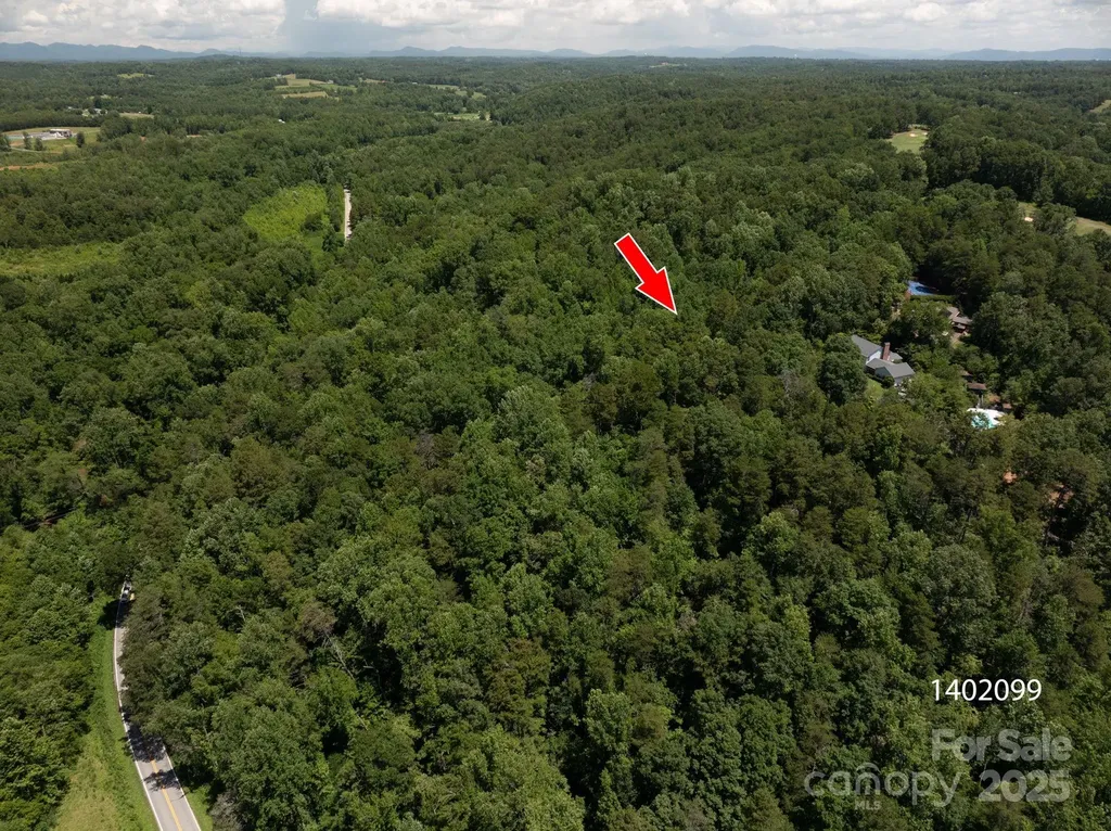 Lot 169 Coxe Road Rutherfordton NC 28139