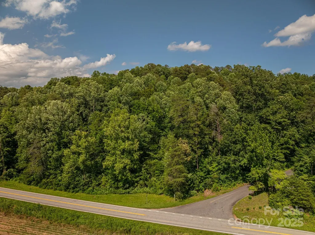 Lot 160 Coxe Road Rutherfordton NC 28139