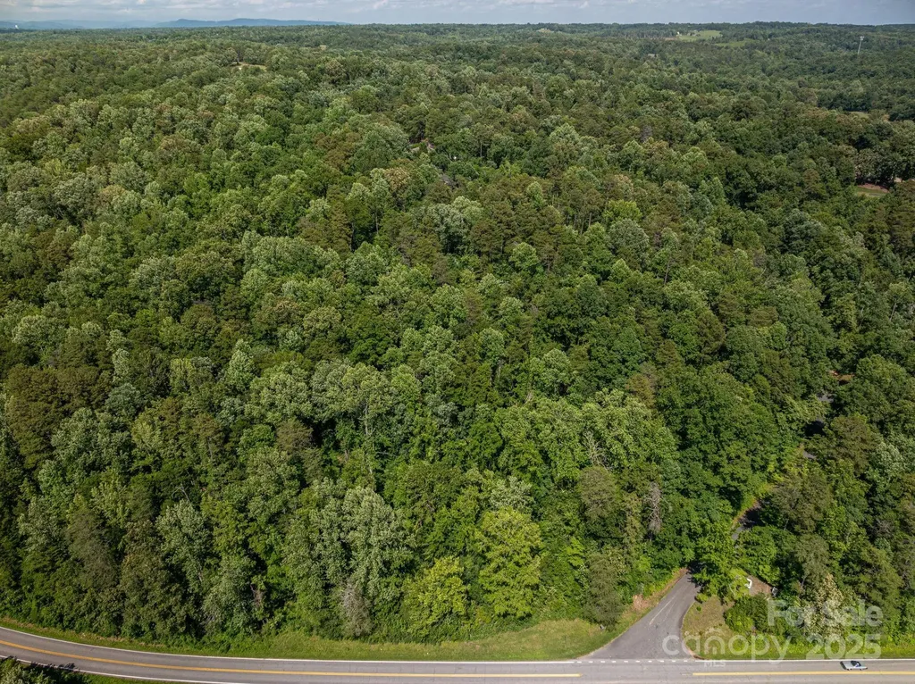 Lot 160 Coxe Road Rutherfordton NC 28139