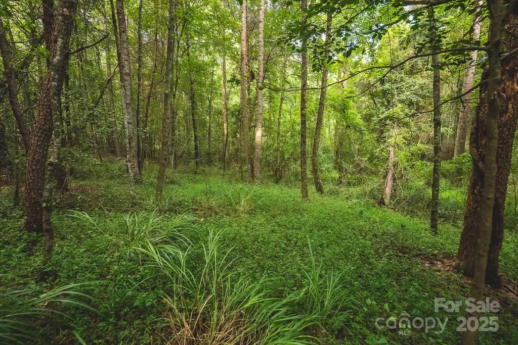 00 Johnson Ridge Road Elkin NC 28621