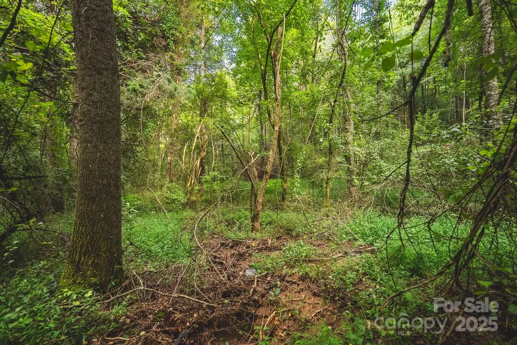 00 Johnson Ridge Road Elkin NC 28621