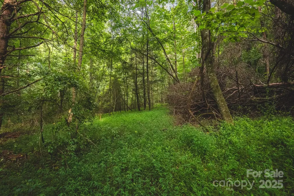 00 Johnson Ridge Road Elkin NC 28621